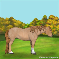 Horse Color:Red Roan Tobiano 