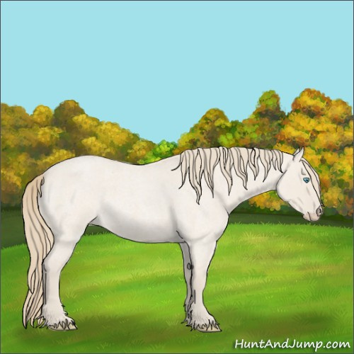 Horse Color:Smoky Creme Roan Dun 