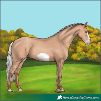 Horse Color:Silver Amber Champagne Frame 