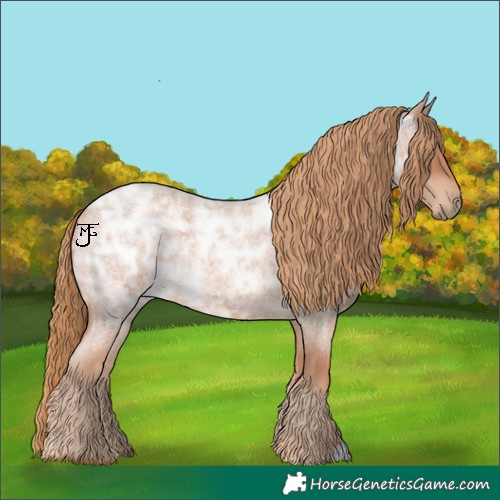 Horse Color:Red Ice Roan Rabicano