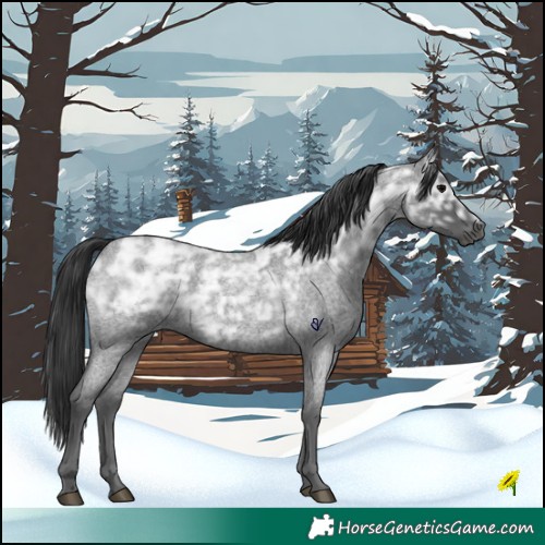 Horse Color:Blue Ice Roan Rabicano 