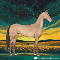 Horse Color:Amber Champagne 