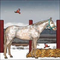 Horse Color:Red Ice Roan Rabicano 