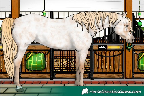 Horse Color:Red Ice Roan Rabicano 