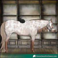 Horse Color:Red Ice Roan Rabicano
