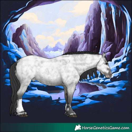 Horse Color:Blue Ice Roan Tobiano Rabicano 