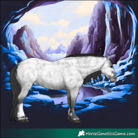 Horse Color:Blue Ice Roan Tobiano Rabicano