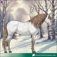 Horse Color:Liver Red Dun Ice Roan Rabicano 