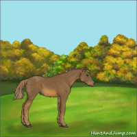 Horse Color:Chocolate Palomino