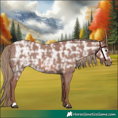 Horse Color:Red Ice Roan Rabicano