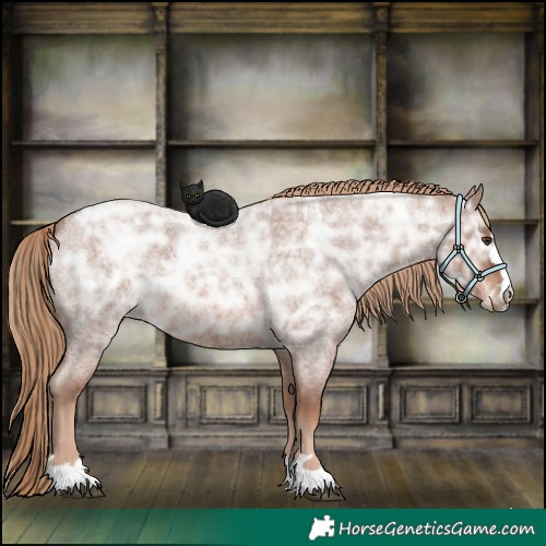 Horse Color:Red Ice Roan Rabicano