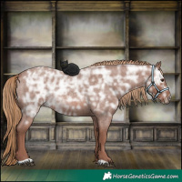 Horse Color:Red Ice Roan Rabicano