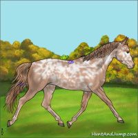Horse Color:Red Ice Roan Rabicano