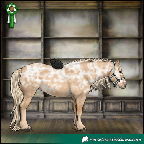 Horse Color:Palomino Ice Roan Rabicano