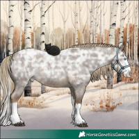 Horse Color:Chocolate Palomino Ice Roan Splash 