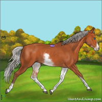 Horse Color:White Spotted Silver Bay Splash