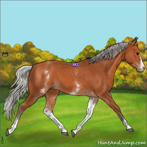 Horse Color:White Spotted Silver Bay Splash 
