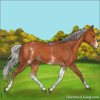 Horse Color:White Spotted Silver Bay Splash 