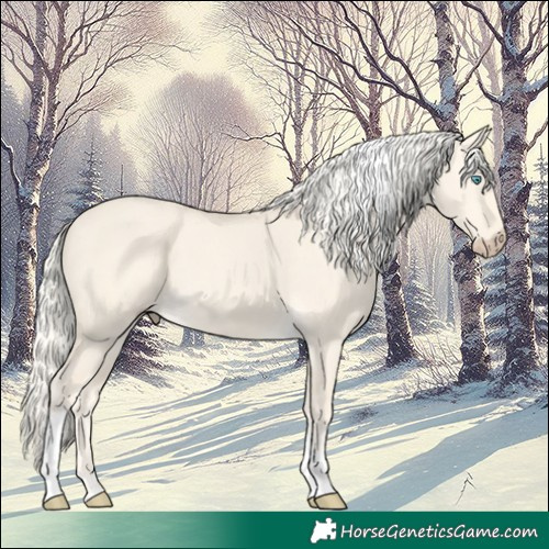 Horse Color:Cremello Dun Tobiano 
