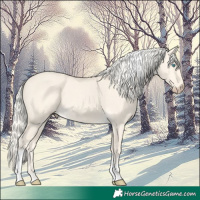 Horse Color:Cremello Dun Tobiano