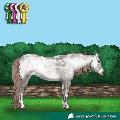 Horse Color:Platinum Liver Red Onyx Ice Roan Rabicano 