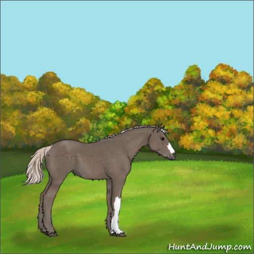 Horse Color:Silver Black 