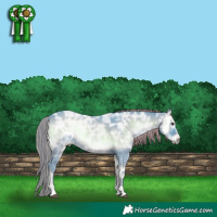 Horse Color:Watercolor Liver Red Onyx Ice Tobiano Rabicano