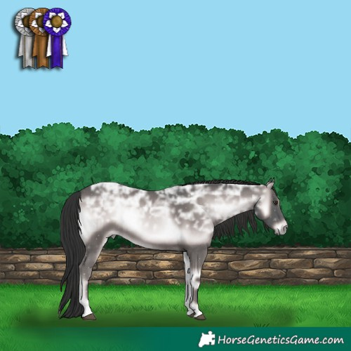 Horse Color:Platinum Liver Red Onyx Ice Rabicano