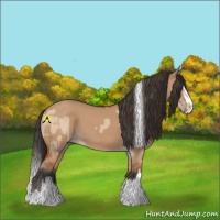 Horse Color:Bay Dun Splash Tobiano and Bay Dun Sabino Splash
