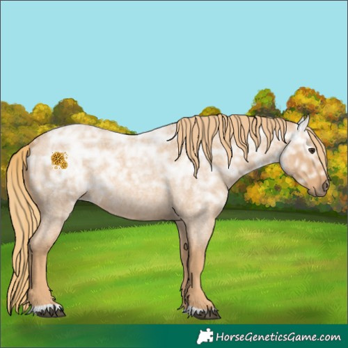 Horse Color:Red Ice Roan Rabicano 