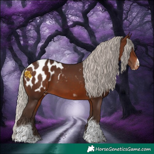 Horse Color:Silver Brown Tobiano Frame Blanket