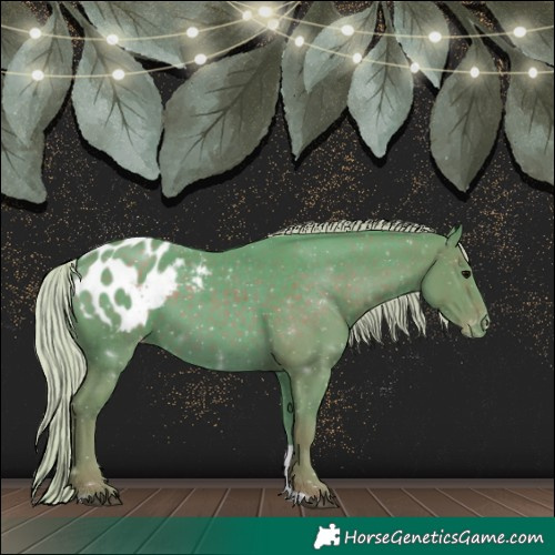 Horse Color:Watercolor Silver Black Tobiano Appaloosa 