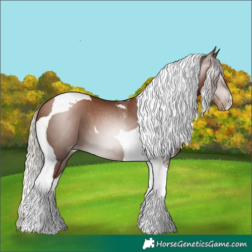 Horse Color:Gray Silver Black Pearl Tobiano