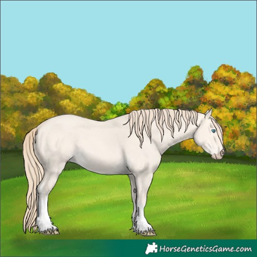 Horse Color:Perlino Dun Tobiano 