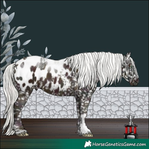 Horse Color:Midnight Gold Champagne Ice Mushroom Sabino Tobiano Blanket