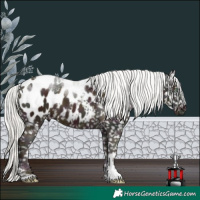 Horse Color:Midnight Gold Champagne Ice Mushroom Sabino Tobiano Blanket 