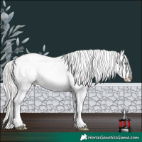 Horse Color:Midnight Gold Champagne Ice Mushroom Sabino Tobiano Appaloosa 