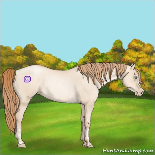 Horse Color:Gold Champagne Pearl Dun Rabicano  and Gold Champagne Pearl Dun Rabicano 