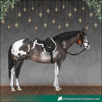 Horse Color:Brown Dun Sabino Tobiano Appaloosa Rabicano Brindle