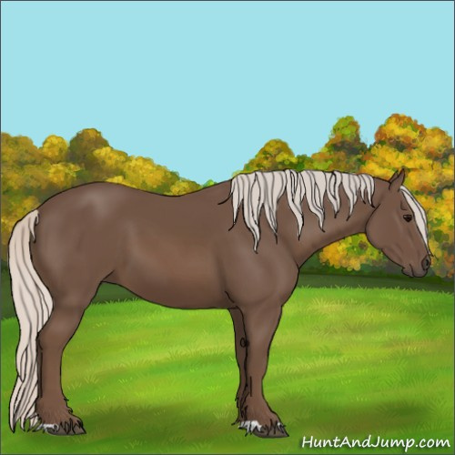 Horse Color:Silver Black 