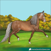 Horse Color:Gray Silver Sable Champagne 