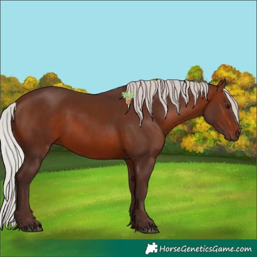 Horse Color:Silver Brown