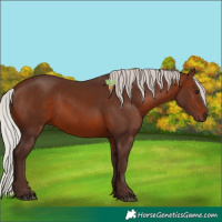 Horse Color:Silver Brown 