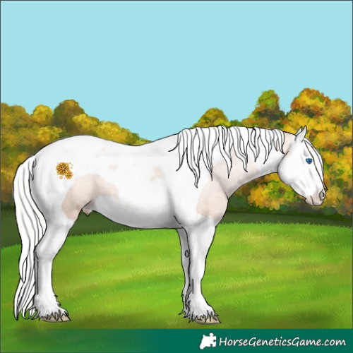 Horse Color:Silver Amber Champagne Splash Tobiano Appaloosa 