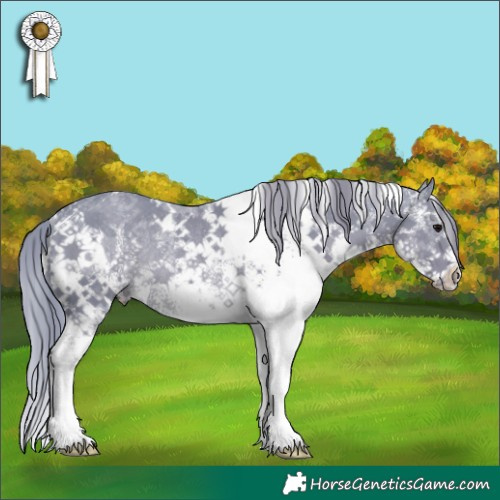 Horse Color:Watercolor White Spotted Black Rabicano 