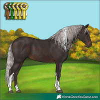 Horse Color:Silver Brown Tobiano