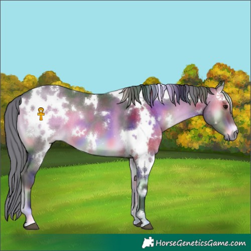 Horse Color:Nacre White Spotted Brown Onyx 