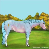 Horse Color:Watercolor White Spotted Brown 
