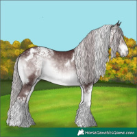 Horse Color:Platinum White Spotted Chocolate Silver Buckskin Onyx 