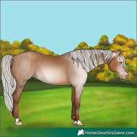 Horse Color:Gray Silver Sable Champagne 
